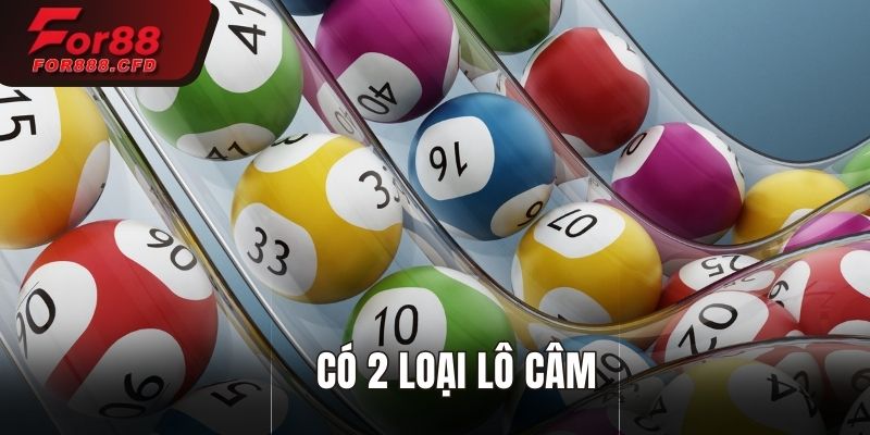 Có 2 loại lô câm là lô câm đầu và lô câm đuôi