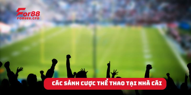 Giới thiệu 3 sảnh cược thể thao tại nhà cái